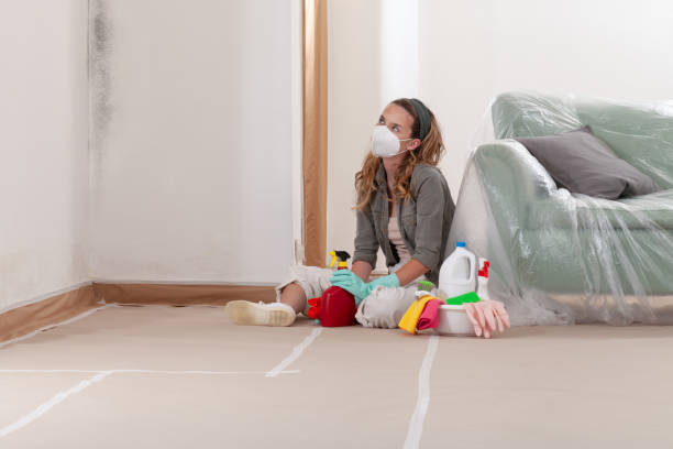Reliable Black Mold Remediation contractor in Port Townsend, WA by Car Mold Remediation